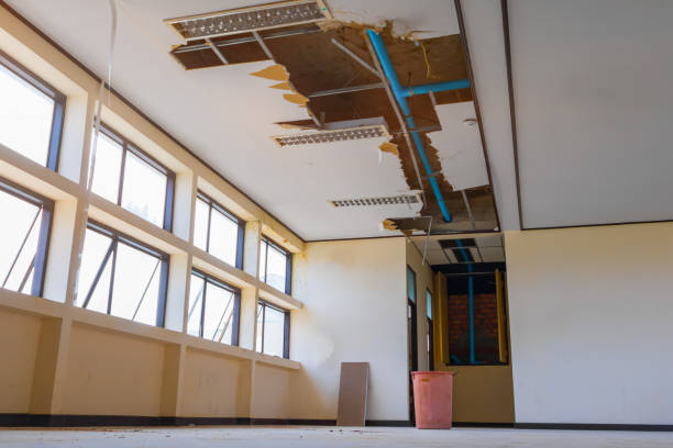 Best Fire Damage Restoration  in Madisonville, LA
