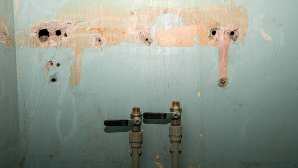 Best Professional water damage repair  in Madisonville, LA