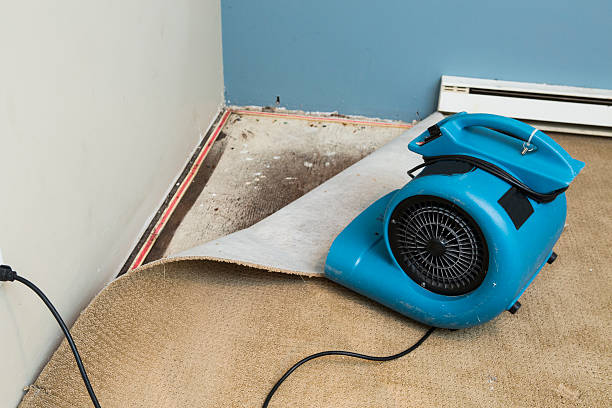 Best Commercial water damage restoration  in Madisonville, LA